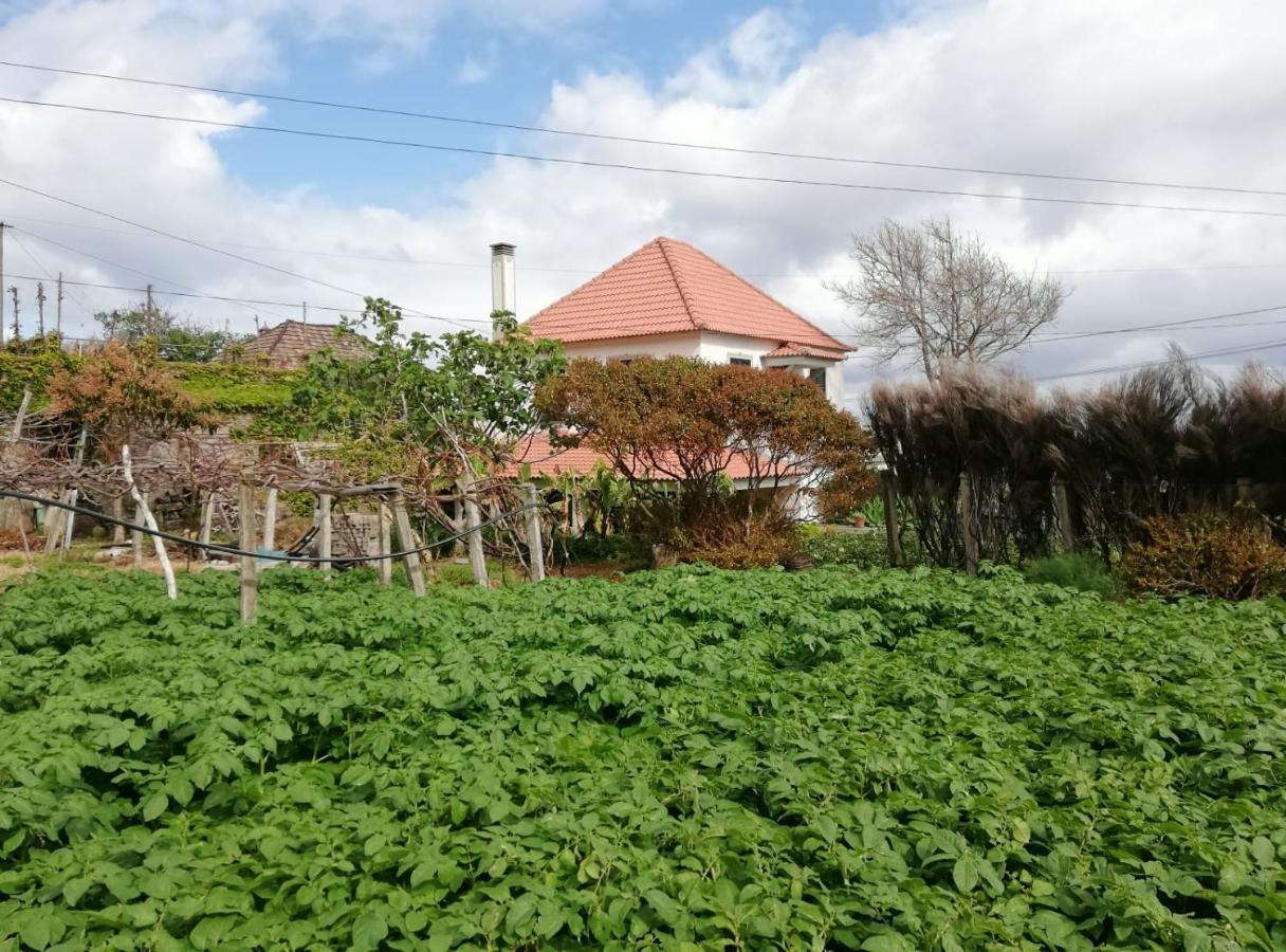 Avo Lucindinha House - Porto Moniz Villa Exterior foto