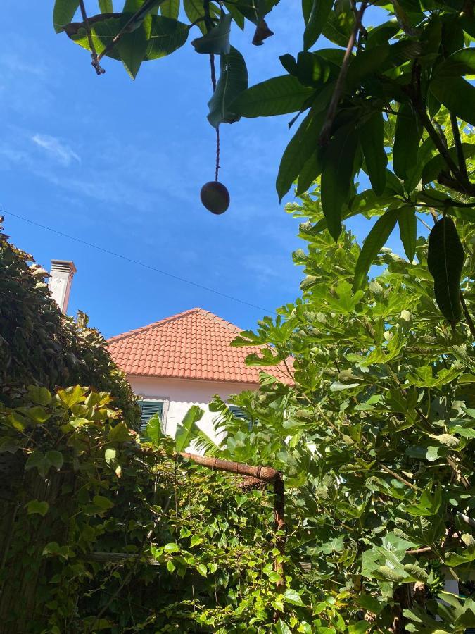 Avo Lucindinha House - Porto Moniz Villa Exterior foto